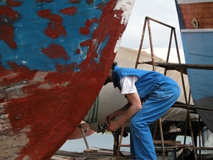 Međunarodni fotografski natječaj i izložba ROO CHAYA 2011, Šri Lanka