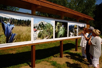 Iz programa Hrvatskog fotosaveza za mlade: Otvorena galerija fotografija 