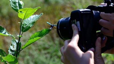 Ljetne fotoradionice za mlade