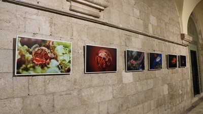 Otvorena izložba fotografija s Prvenstva Hrvatske u podvodnoj fotografiji 