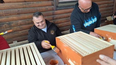 Izrada tehničkih tvorevina košnica za pčele